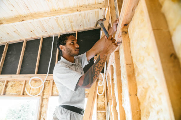 Best Insulation Inspection Services  in Cameron, TX