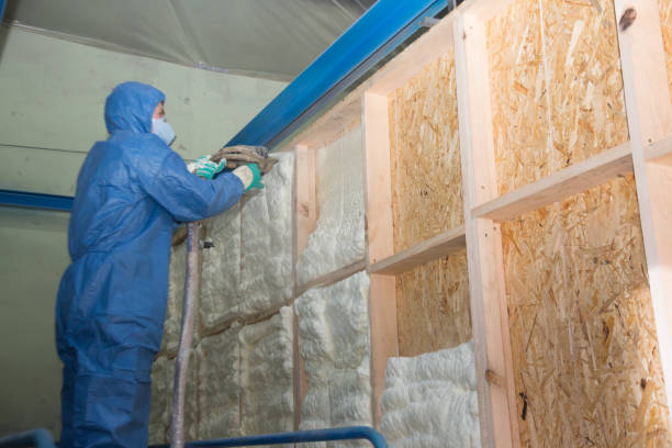 Best Affordable Insulation Services  in Cameron, TX